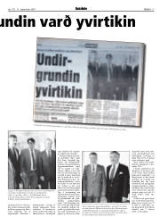 Síða 17