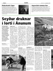 Síða 8