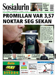 Síða 1