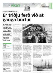 Síða 17