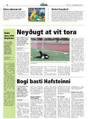 Síða 22