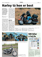 Síða 35