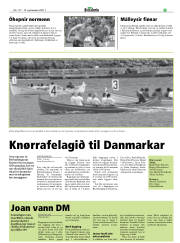 Síða 31
