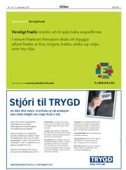 Síða 3