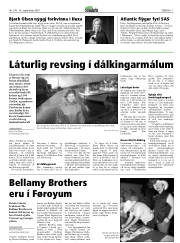 Síða 7