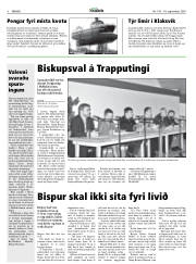 Síða 8
