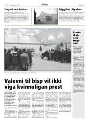 Síða 9