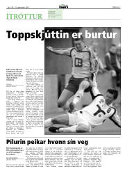 Síða 17