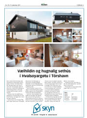Síða 31