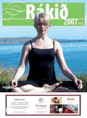 Síða 1