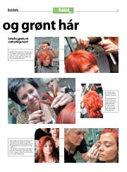 Síða 1