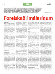 Síða 1