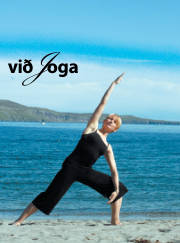 Síða 1