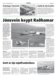 Síða 11