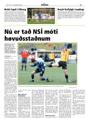 Síða 25