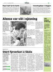 Síða 29