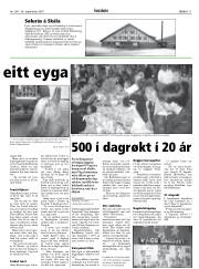 Síða 11