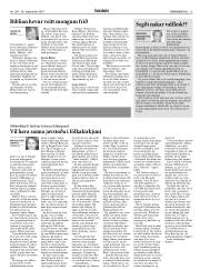 Síða 13