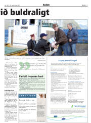 Síða 17