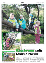 Síða 4