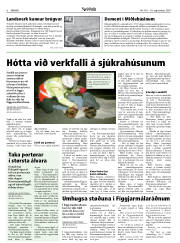Síða 6