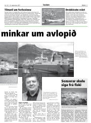 Síða 11