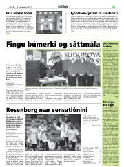 Síða 29