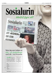 Síða 30