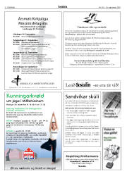Síða 32