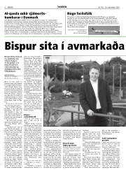 Síða 8