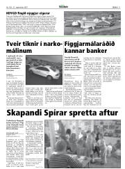 Síða 11