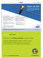 Síða 2
