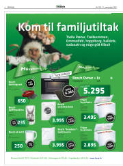 Síða 4