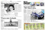 Síða 7