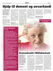 Síða 27