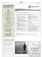 Síða 39