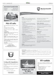 Síða 43