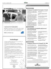 Síða 45