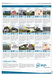 Síða 20