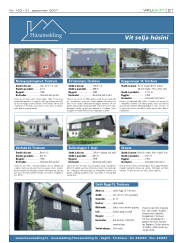 Síða 21