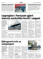 Síða 6