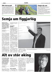 Síða 8