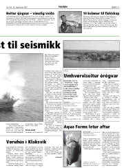 Síða 11