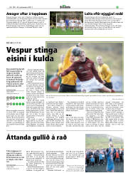 Síða 25