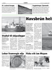 Síða 10