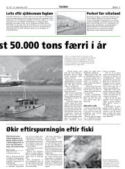 Síða 11