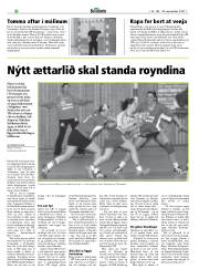 Síða 30