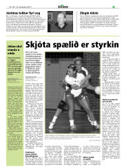 Síða 31