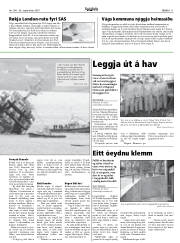 Síða 11