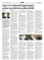 Síða 17